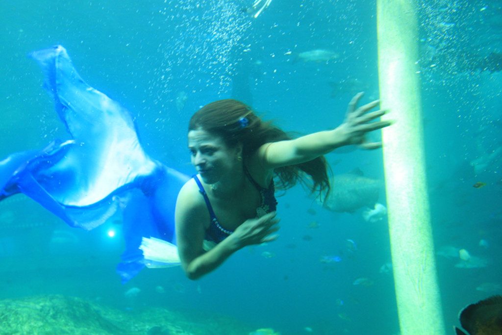 Belharra la sirene