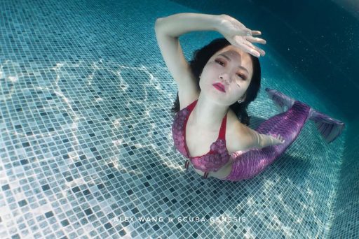 mermaid acacia