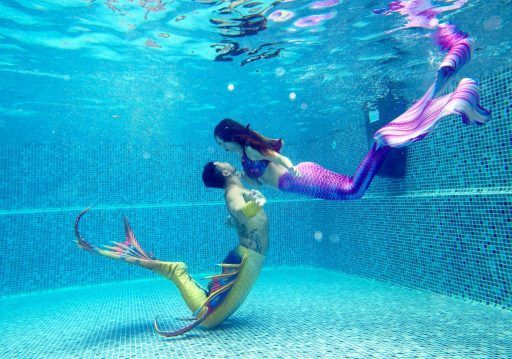 mermaid acacia